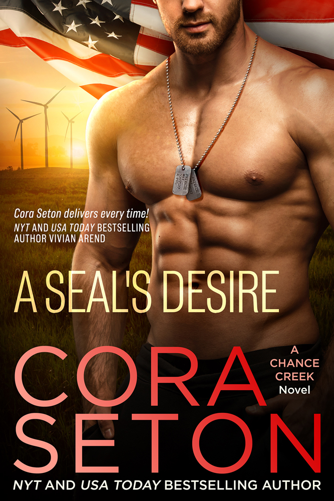 A SEAL's Desire (Book 8)
