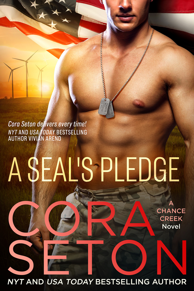A SEAL’s Pledge (Book 3)